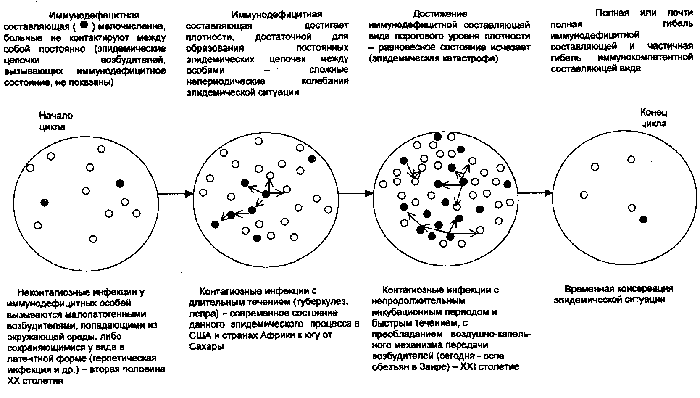 Рис. 68. Схема глобального многовекового цикла быстрых и медленных инфекций