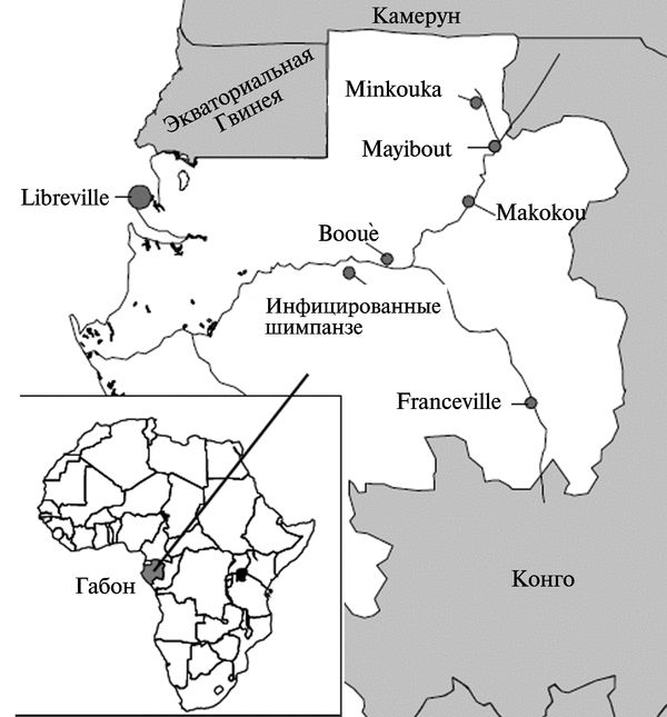 Рис. 3.113. Географическое распределение трех эпидемий геморрагической лихорадки Эбола в Габоне.